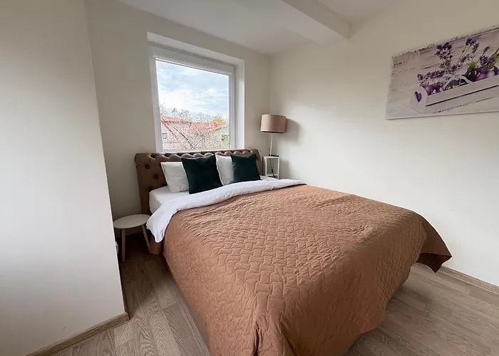 Apartment Light & Cozy Family - Near Basanavicius Street & Concert Hall - Balcony, No22 Palanga