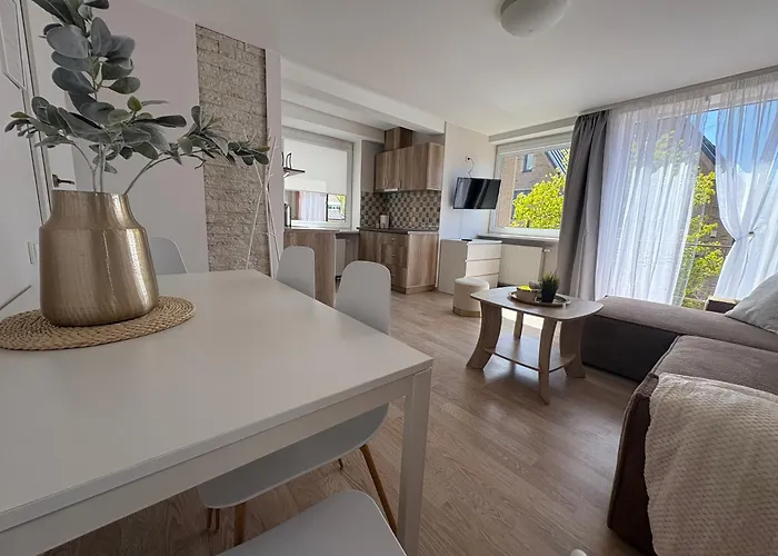 Apartment Light & Cozy Family - Near Basanavicius Street & Concert Hall - Balcony, No22