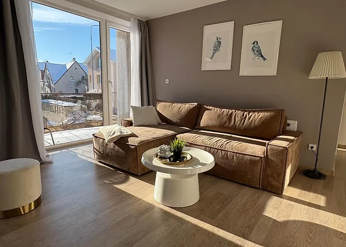 Light & Cozy Family - Near Basanavicius Street & Concert Hall - Balcony, No22 Apartment Palanga